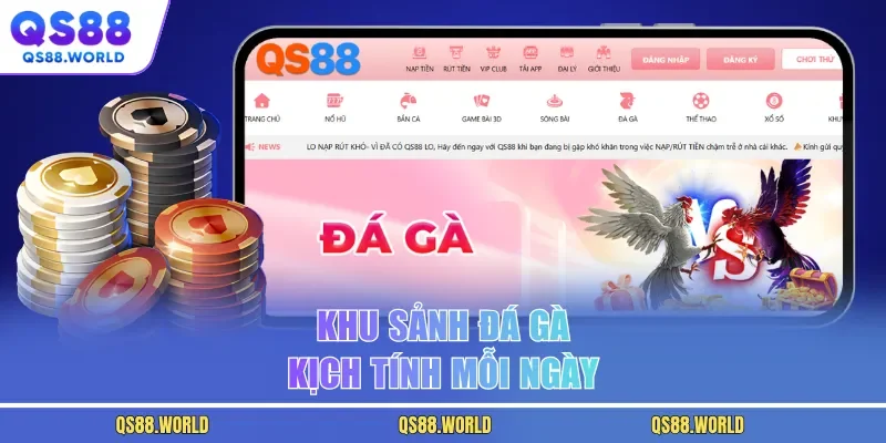 Khu sảnh đá gà kịch tính mỗi ngày